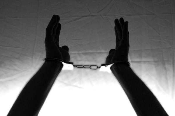 Под Воронежем районный ветеринар получил семь лет строгого режима за взятку Под Воронежем районный ветеринар получил семь лет строгого режима за взятку