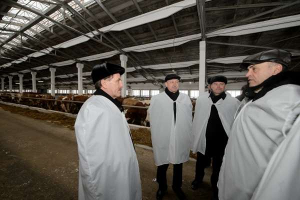 Воронежский губернатор избежал участи многих коллег Воронежский губернатор избежал участи многих коллег