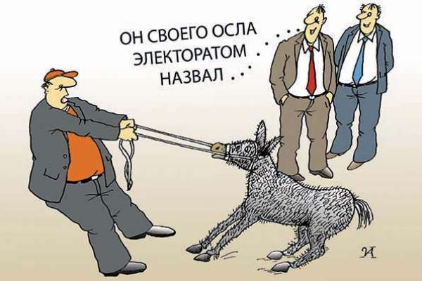 Избиратели привели воронежских политологов в недоумение Избиратели привели воронежских политологов в недоумение