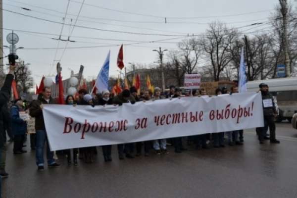 Воронежскую городскую думу обвинили в нарушении прав человека и гражданина