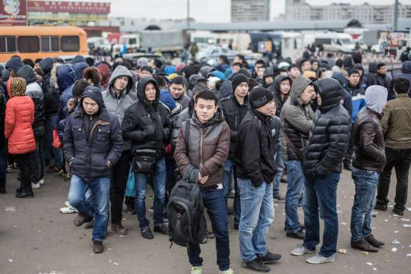Воронежской области установили квоту на мигрантов Воронежской области установили квоту на мигрантов