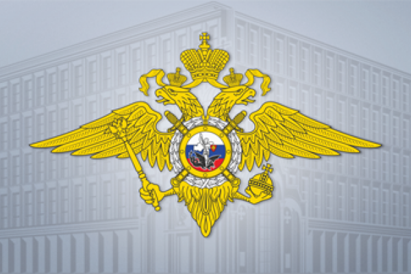 В Воронежской области половину преступлений совершили в общественных местах В Воронежской области половину преступлений совершили в общественных местах