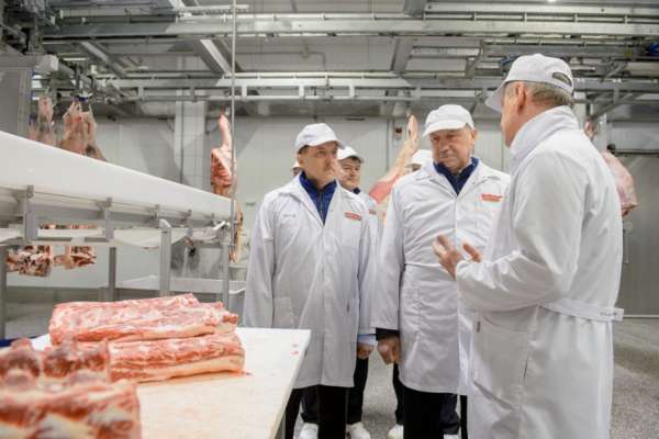 Воронежскую область проинспектировал представитель президента Воронежскую область проинспектировал представитель президента