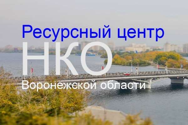 Президентский Совет нашёл слабые места воронежских НКО Президентский Совет нашёл слабые места воронежских НКО