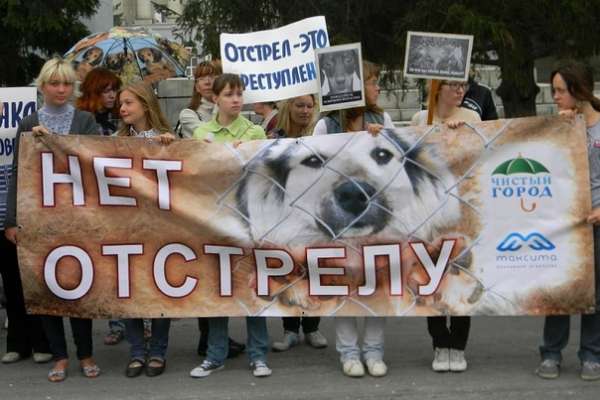 Воронежские власти обвинили в «государственном убийстве» Воронежские власти обвинили в «государственном убийстве»