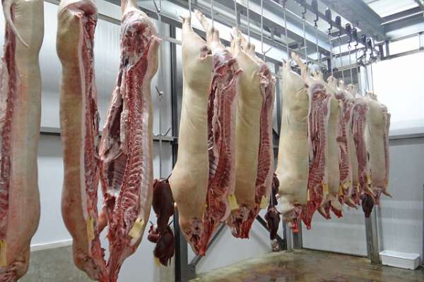 В Воронежской области построят мясокомбинат за 10 млрд рублей В Воронежской области построят мясокомбинат за 10 млрд рублей