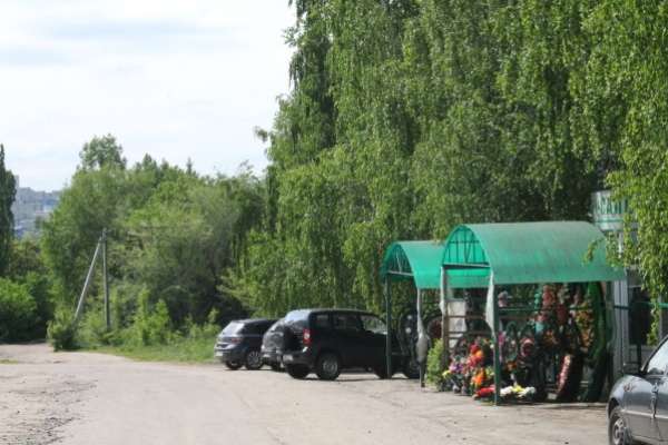 Березовское кладбище воронеж карта