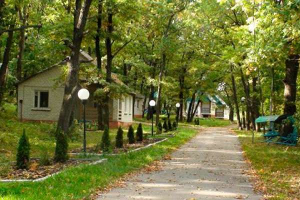Воронежские власти выставили на продажу базу отдыха в заповеднике Воронежские власти выставили на продажу базу отдыха в заповеднике