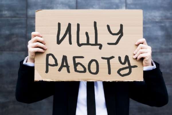 В Воронеже сложнее всего найти работу журналистам и юристам В Воронеже сложнее всего найти работу журналистам и юристам