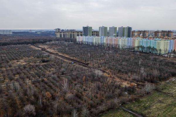 Кости угрожают глобальной застройке яблоневых садов в Воронеже?!