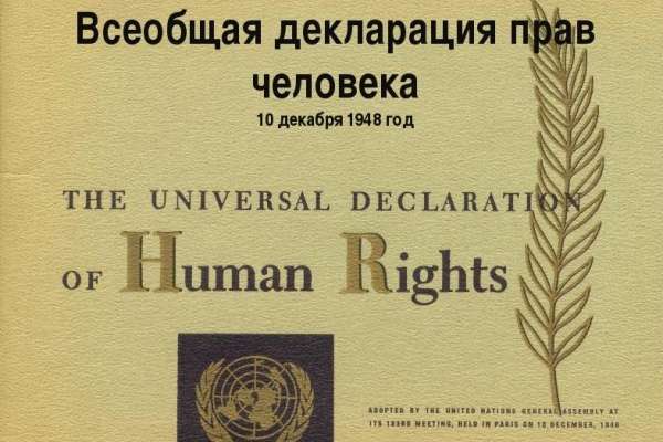 До 2020 года воронежцы за ценами не угонятся До 2020 года воронежцы за ценами не угонятся