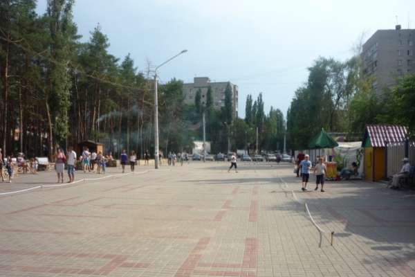 Воронежский предприниматель заплатит 100 тысяч рублей за батут в парке 