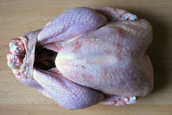 В Воронеже нашли вирус птичьего гриппа в мясе индеек В Воронеже нашли вирус птичьего гриппа в мясе индеек