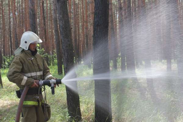В Воронежской области введен особый противопожарный режим В Воронежской области введен особый противопожарный режим