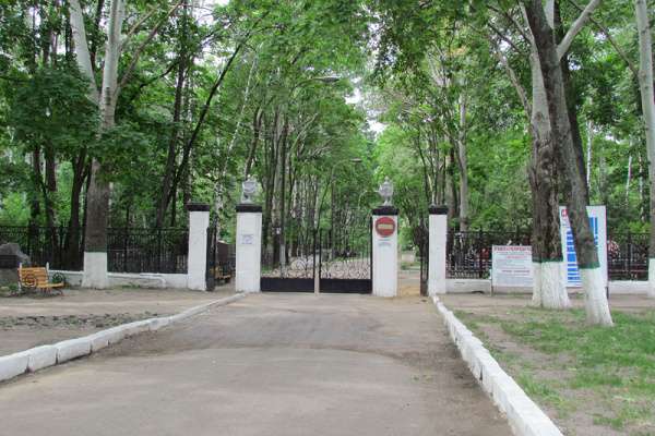 Умершего Анатолия Голиусова поздравили с днем рождения от имени воронежского губернатора Умершего Анатолия Голиусова поздравили с днем рождения от имени воронежского губернатора