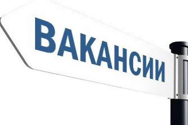 Эксперты назвали самые дорогие вакансии в Воронеже Эксперты назвали самые дорогие вакансии в Воронеже