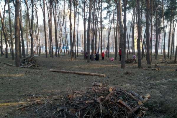 Город Воронеж стал больше на один земельный участок Город Воронеж стал больше на один земельный участок