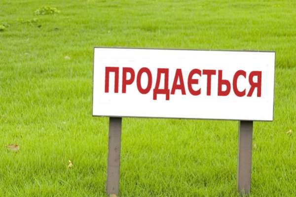 Воронежский ДИЗО не отдал «Выбору» сельскохозяйственную землю Воронежский ДИЗО не отдал «Выбору» сельскохозяйственную землю