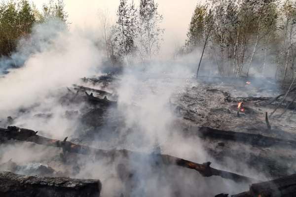 Александр Гулягин проверит причины возгораний в пригородах Воронежа Александр Гулягин проверит причины возгораний в пригородах Воронежа
