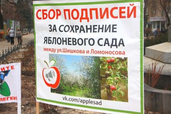 Деревья в воронежском яблоневом саду вырубили незаконно Деревья в воронежском яблоневом саду вырубили незаконно