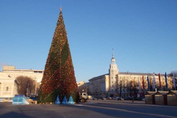 Воронеж может остаться без новогодней ёлки Воронеж может остаться без новогодней ёлки