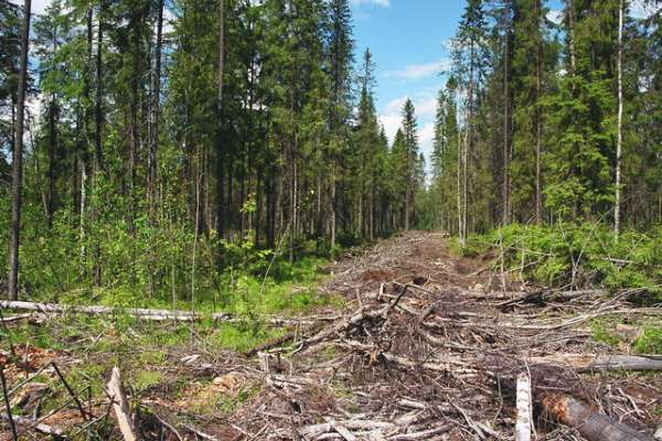 Воронежского губернатора поразила бесхозяйственность в собственной области Воронежского губернатора поразила бесхозяйственность в собственной области