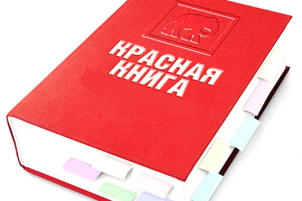 Воронежские прокуроры выступили против продажи краснокнижных животных Воронежские прокуроры выступили против продажи краснокнижных животных