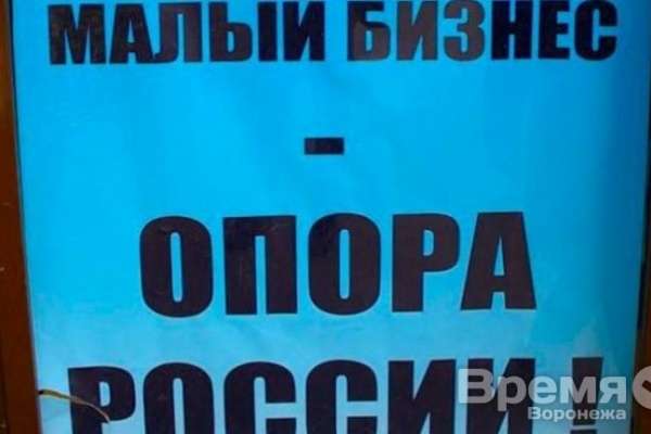 Воронежских предпринимателей власть поддерживает выборочно Воронежских предпринимателей власть поддерживает выборочно