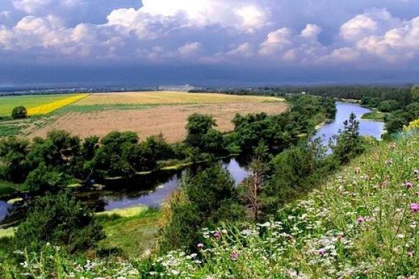 Под Воронежем украли половину озера Круглого Под Воронежем украли половину озера Круглого