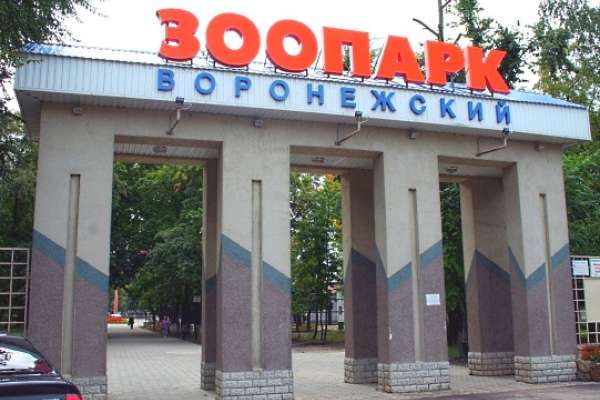 В Воронежском зоопарке обнаружена недостроенная конюшня В Воронежском зоопарке обнаружена недостроенная конюшня