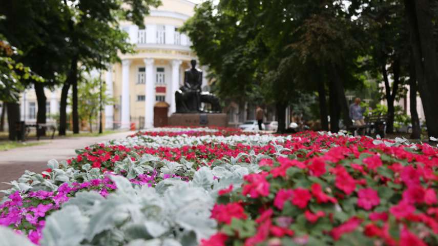 В воронежском сквере Бунина делают систему автополива В воронежском сквере Бунина делают систему автополива