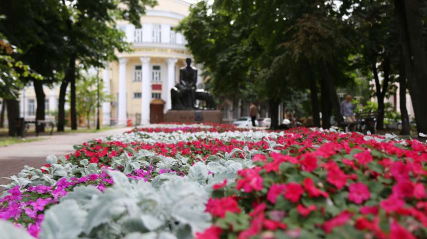 В воронежском сквере Бунина делают систему автополива