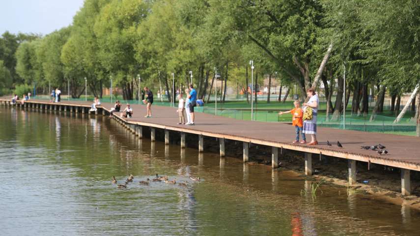 В Воронеже продолжаются работы по обновлению парка «Дельфин»