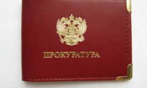 Прокурору Воронежа поручено найти писающего полицейского