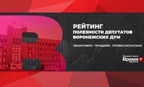 В Воронежской области подвели итоги рейтинга полезности депутатов