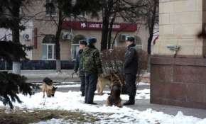 В Воронеже перед визитом Путина у здания правительства области дежурят кинологи с собаками