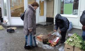 К выходным вербы в Воронеже будут продавать втридорога