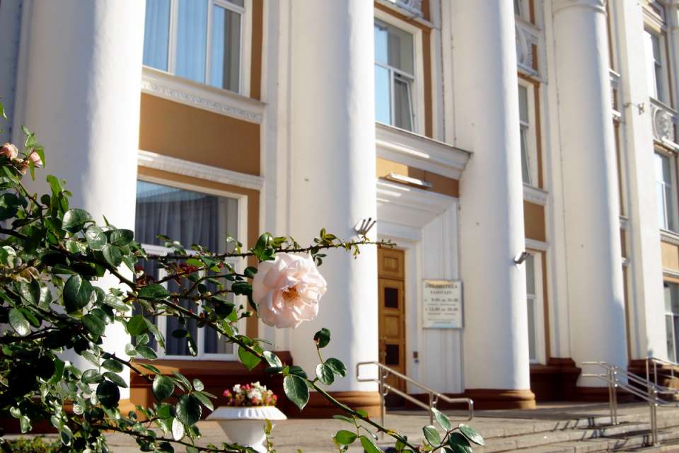 В Воронеже на проект капремонта здания Никитинской библиотеки направят 4 млн рублей 
