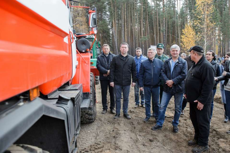 В Воронеже за день восстановили 10 га леса