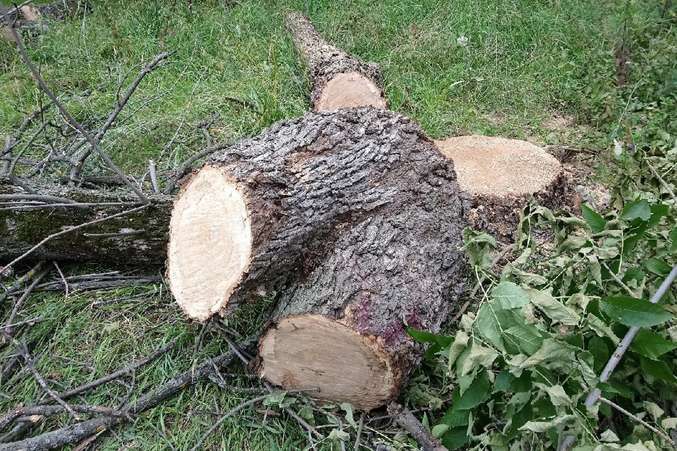 Воронежских школьников ждут новые учебники по истории и ЕГЭ по китайскому языку 