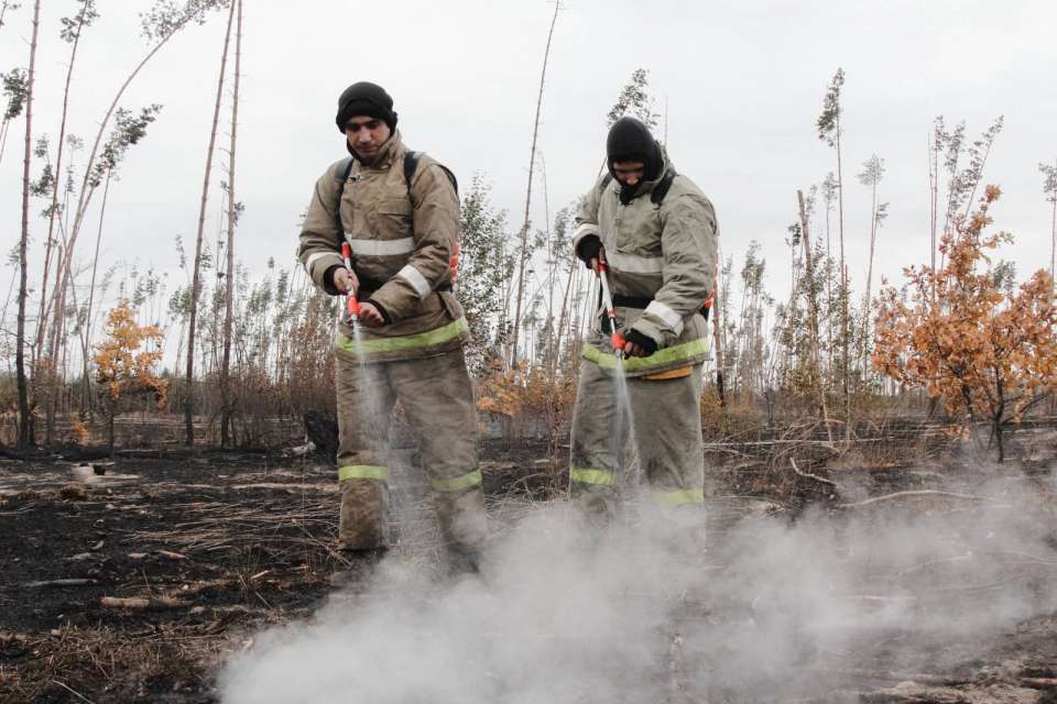 Воронежские спасатели за сутки локализовали пожары на 200 га 