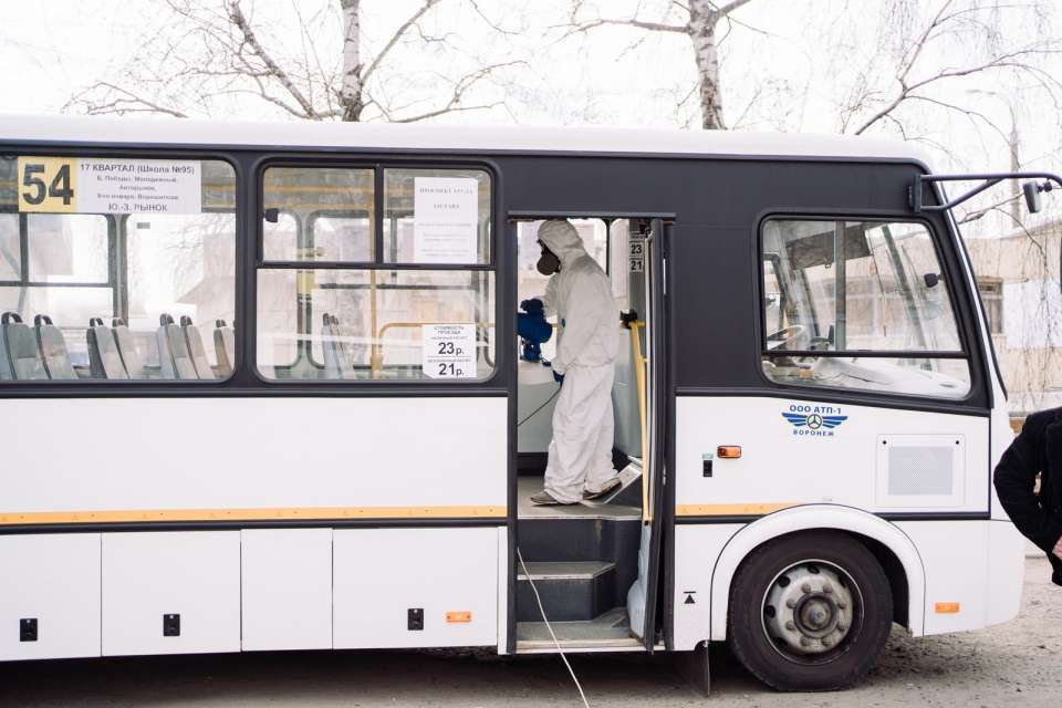 На улицах Воронежа станет еще больше автобусов