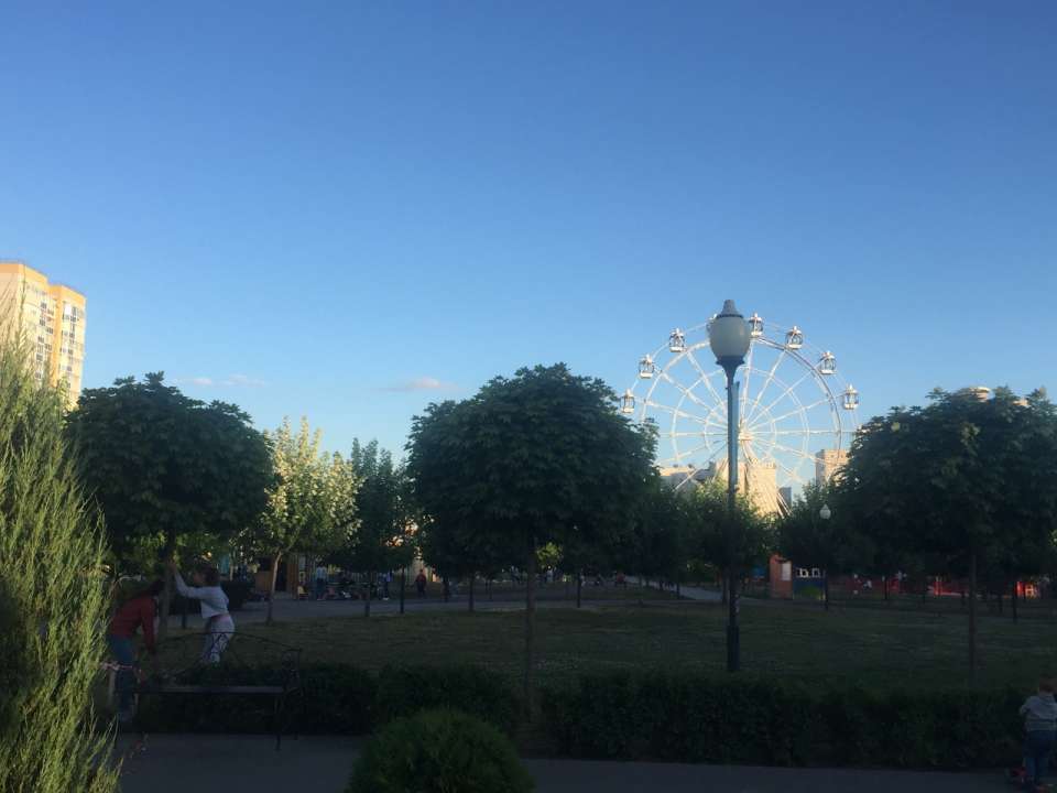 Жителей Воронежа пригласили распланировать территорию парка Победы 
