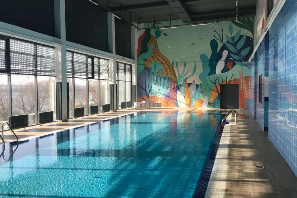 Проект нового спорткомплекса с бассейном в Воронеже подготовит местная фирма за 15,4 млн рублей