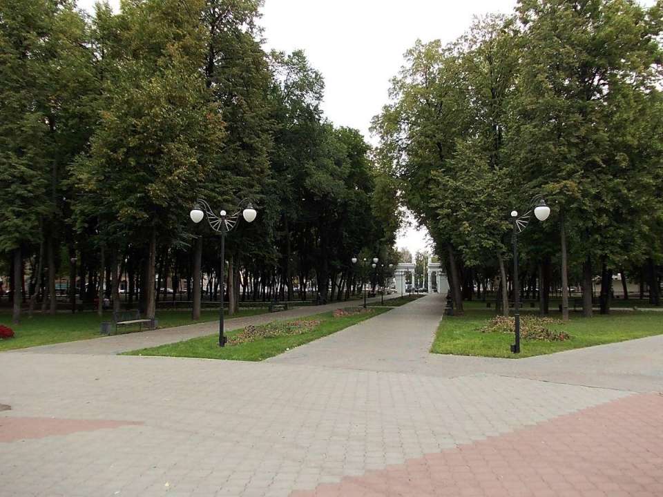 Парк «Орленок» в Воронеже останется без революционных изменений