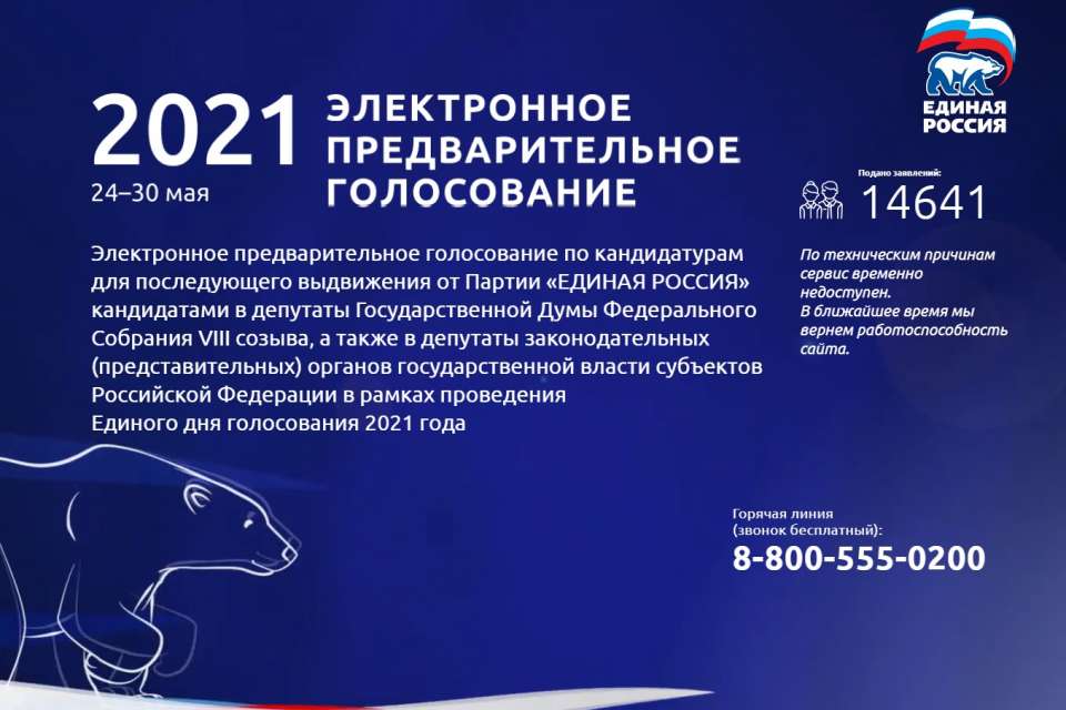 Сайт предварительного голосования «Единой России» в Воронеже не выдержал напора DDoS-атаки
