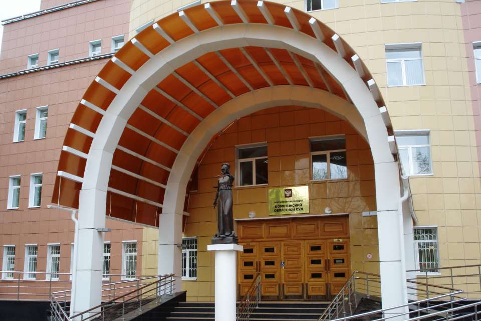 Воронежские областные судьи оставили без удовлетворения сына своего коллеги
