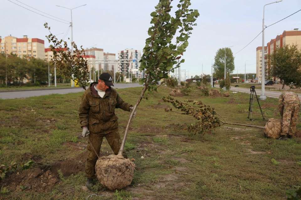 На обновленной улице Острогожской в Воронеже высадят 473 дерева 