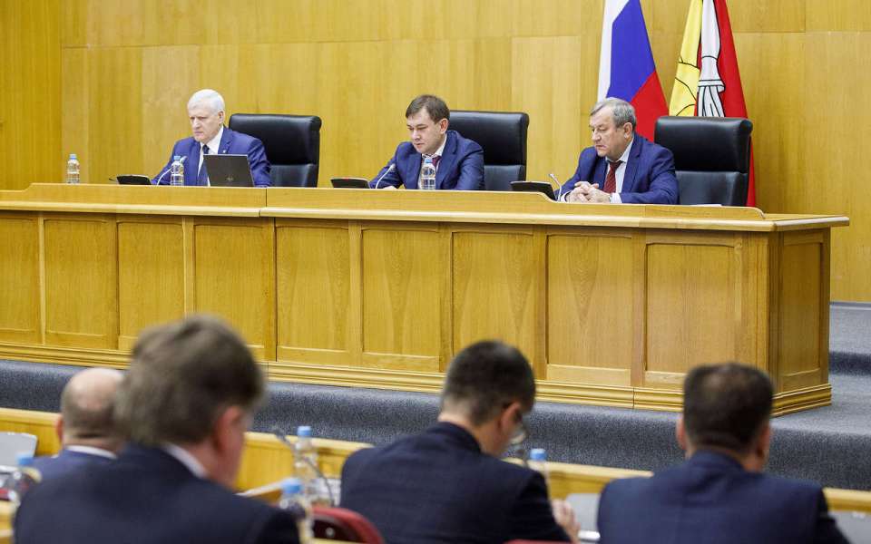 Воронежская областная Дума приняла закон для поддержки предпринимательского сектора 