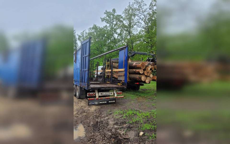 В Семилукском районе уничтожают местный природный заказник